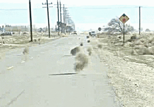 Tumbleweeds Highway GIF