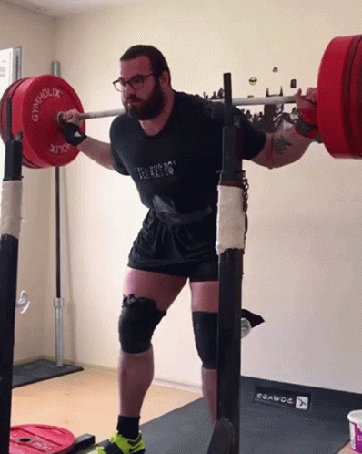 Tuna Tavus Tuna GIF