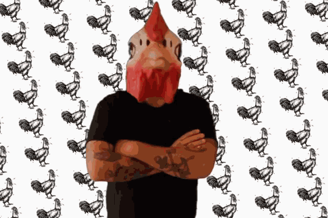 Tupinchegallo No No No GIF