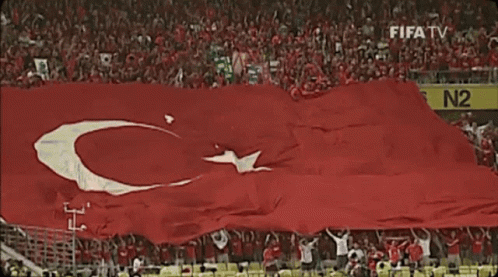 Turk Bayrak Adamsin Oglum GIF