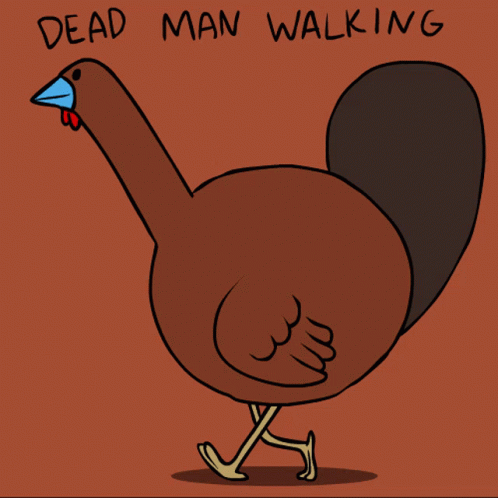Turkey Dead Man Walking GIF