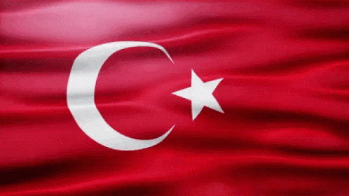 Turkey Flag Gif GIF