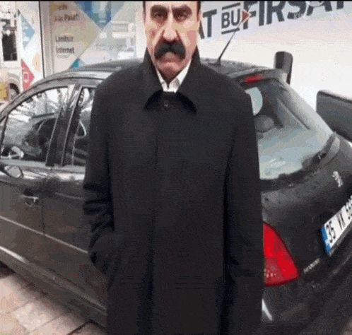 Turkey GIF