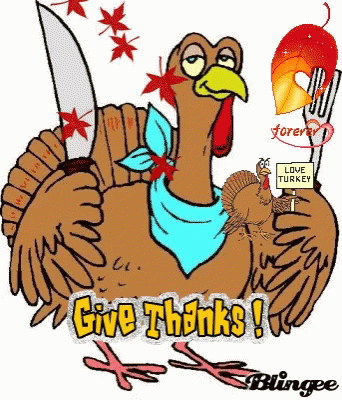 Turkey Jokes GIF