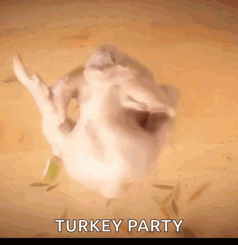 Turkey GIF