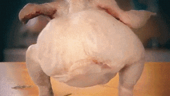 Turkey GIF