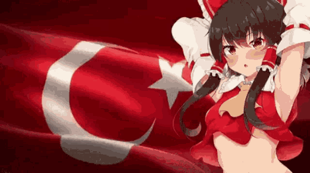 Turkey Reimu GIF