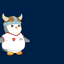 Turkey Soccer GIF