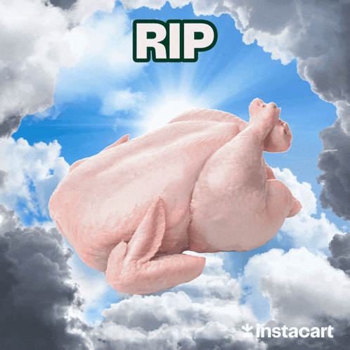 Turkey Thanksgiving GIF