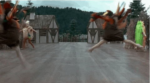 Turkey Turkeys GIF