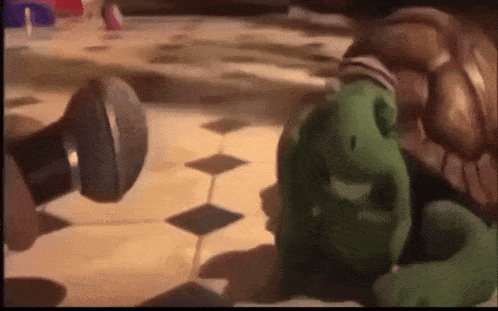Turtle Being Interviewed Not Knowing What To Say Nosolohit GIF