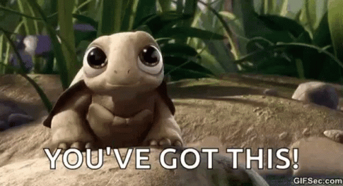 Turtle Cute GIF. This 498 x 270 animated GIF is part of our so youre saying theres a chance animated collection. Related themes include cute, turtle…