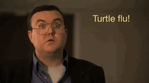 Turtle Flu GIF