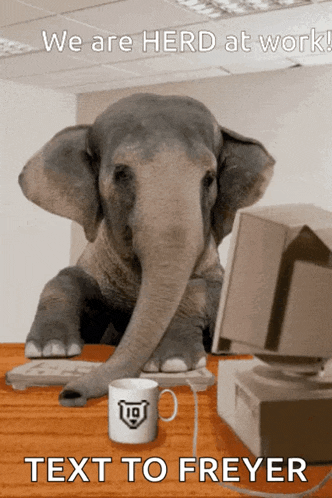 Tusks Tuskers GIF