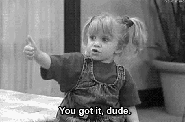 Tv Shows You Got It Dude GIF