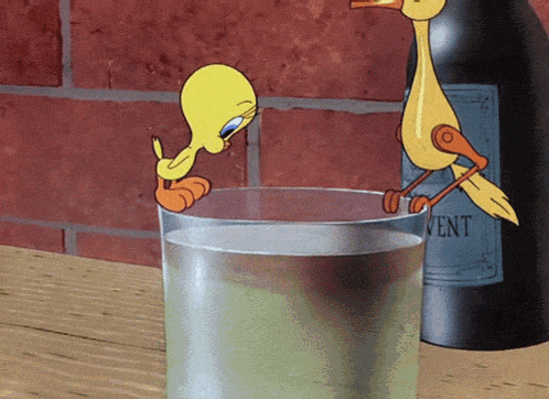 Tweety Drinking GIF