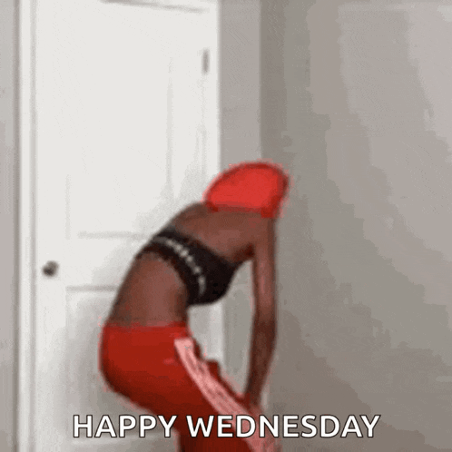 Twerk Twerking GIF