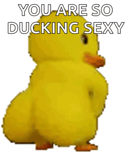 Twerken Duck GIF