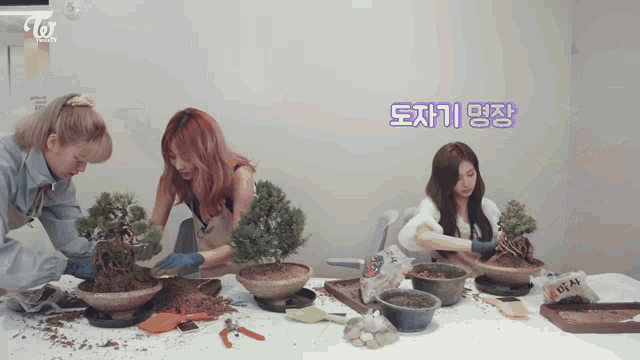 Twice Tv Home Gardening GIF