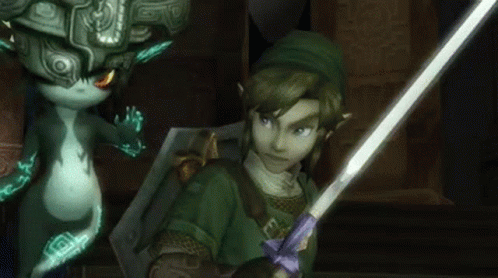 Twilight Princess The Legend Of Zelda GIF