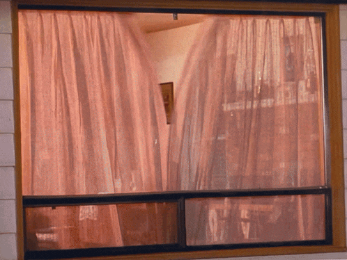 Twin Peaks Nadine GIF