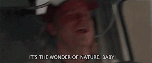 Twister Nature GIF. This 498 x 209 animated GIF is part of our cone of silence collection. Related themes include nature. Created by am_perrin. View the…