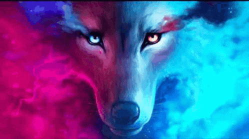 Twitch GIF. This 498 x 278 animated GIF is part of our running wolf collection. Created by Nunonanani. View the original animation, share it, or browse…