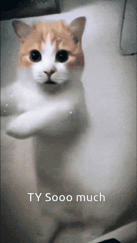 Ty Cat GIF