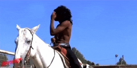 Tyler The Creator Bsd GIF