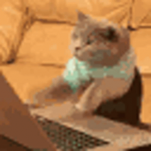 Typing Cat GIF. This 498 x 498 animated GIF is part of our messenger typing collection. Related themes include cat, typing. Created by RainyCloud. View the…