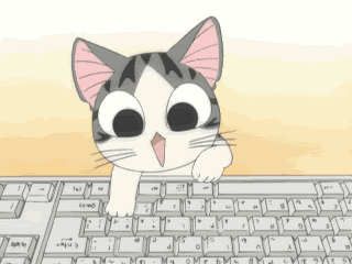 Typing Cat Keyboard Cat GIF