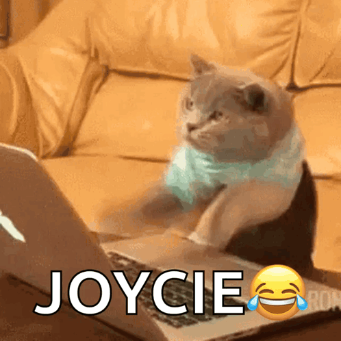 Typing Cat GIF