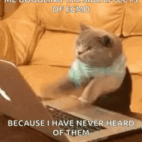 Typing Laptop GIF