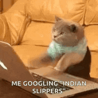 Typing Laptop GIF