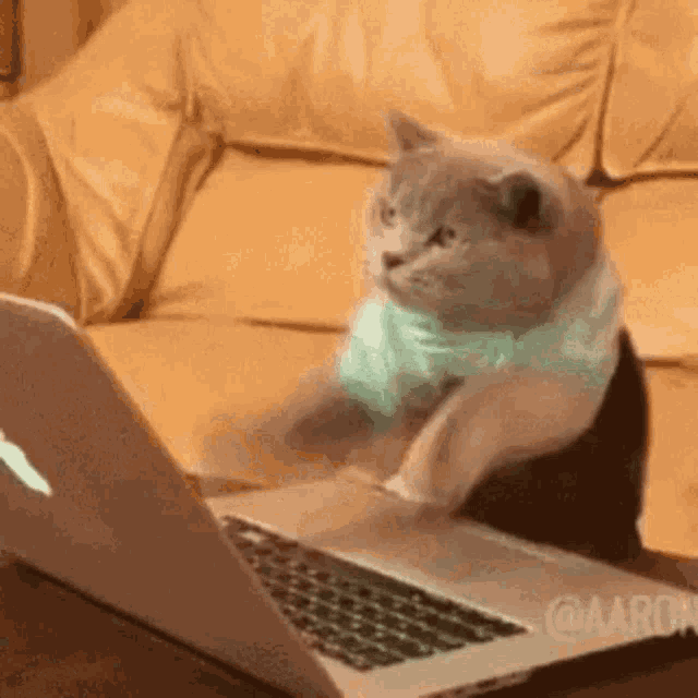 Typo Autocorrect GIF