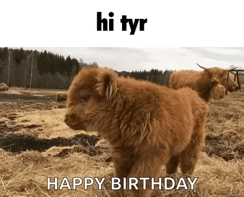 Tyr Greetings GIF