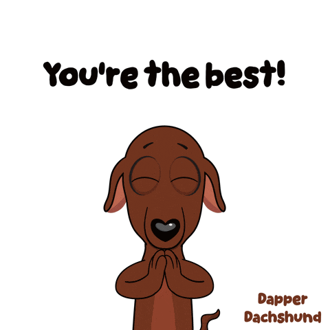 U R Animal GIF