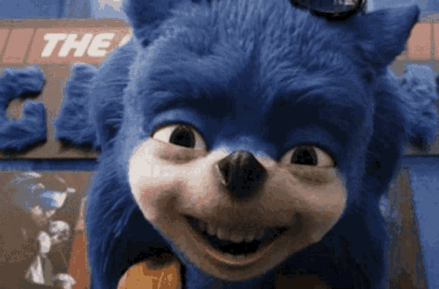 Ugly Sonic Chip N Dale GIF