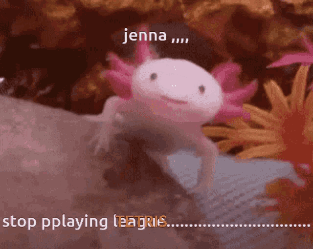 Uh Axolotl GIF