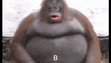 Uh Big GIF