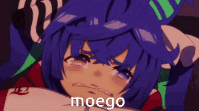 Uma Musume Anime GIF