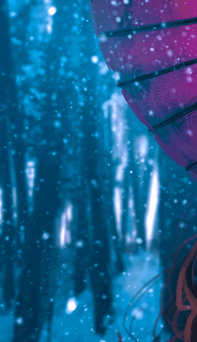 Umbrella Meme