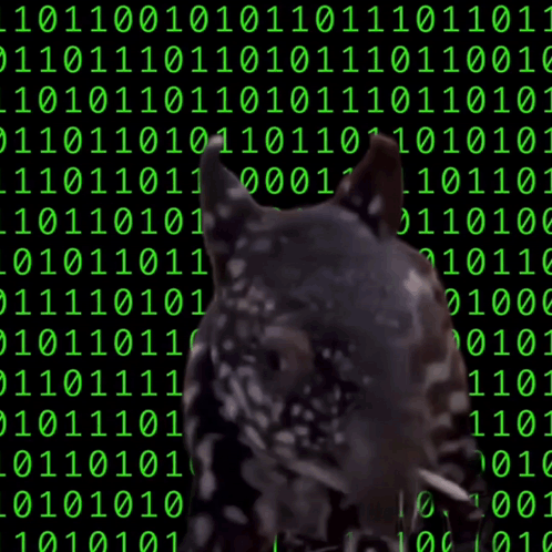 Ume Numbers GIF