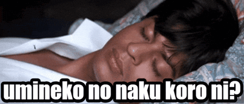 Umineko Shah Rukh Khan GIF
