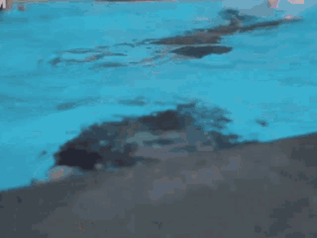 Un1ty Un1tyfiki GIF