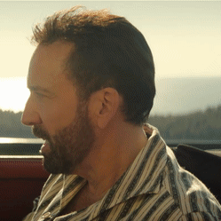Unbearable Weight Of Massive Talent Nicolas Cage GIF