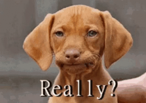 Unbelievable Not Impressed GIF