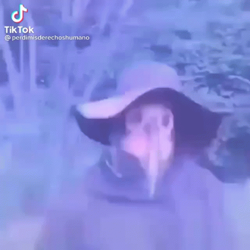 Unboxing Bob GIF