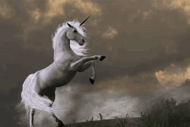 Unicorn Meme