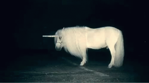 Unicorni Tumblr GIF. This 498 x 280 animated GIF is part of our fondos tumblr hipster collection. Related themes include tumblr. View the original…